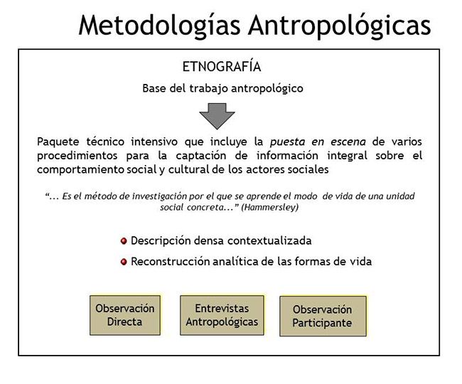 Actividad_Maxima_Investigacion_Antropologica_04